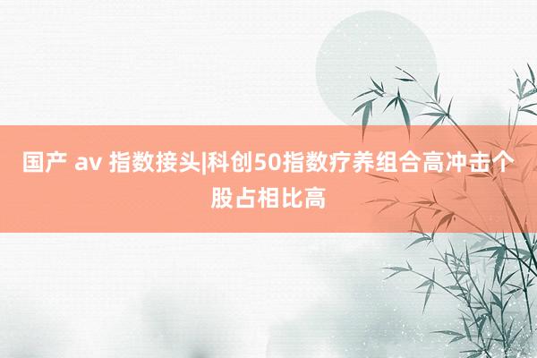 国产 av 指数接头|科创50指数疗养组合高冲击个股占相比高