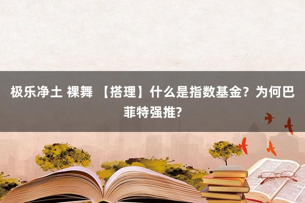 极乐净土 裸舞 【搭理】什么是指数基金？为何巴菲特强推?