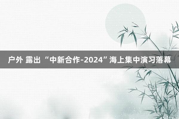 户外 露出 “中新合作-2024”海上集中演习落幕