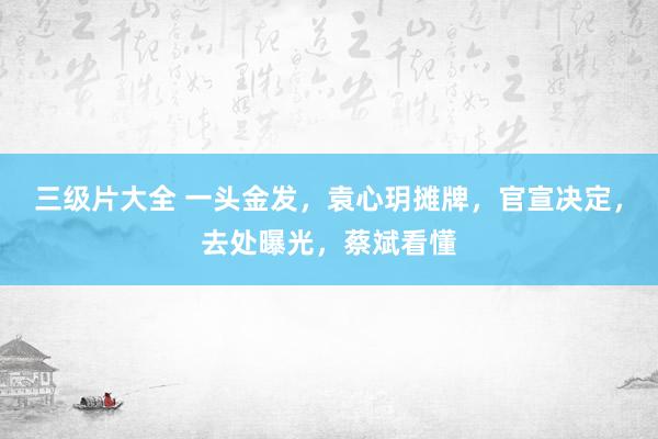 三级片大全 一头金发，袁心玥摊牌，官宣决定，去处曝光，蔡斌看懂