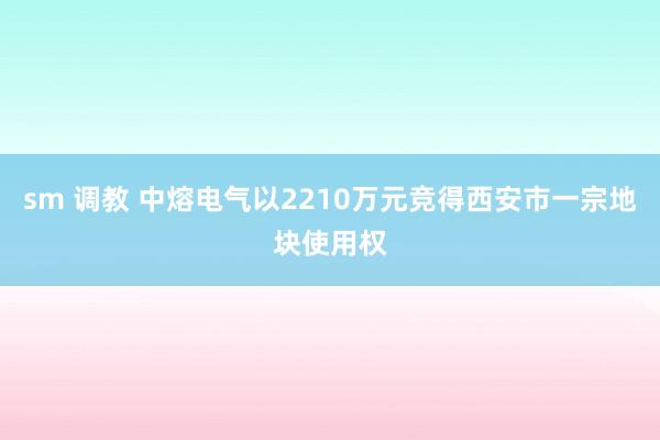 sm 调教 中熔电气以2210万元竞得西安市一宗地块使用权