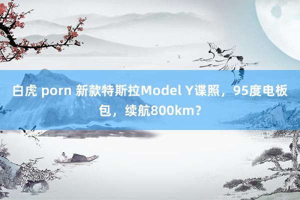 白虎 porn 新款特斯拉Model Y谍照，95度电板包，续航800km？