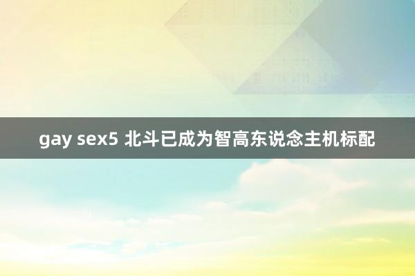 gay sex5 北斗已成为智高东说念主机标配