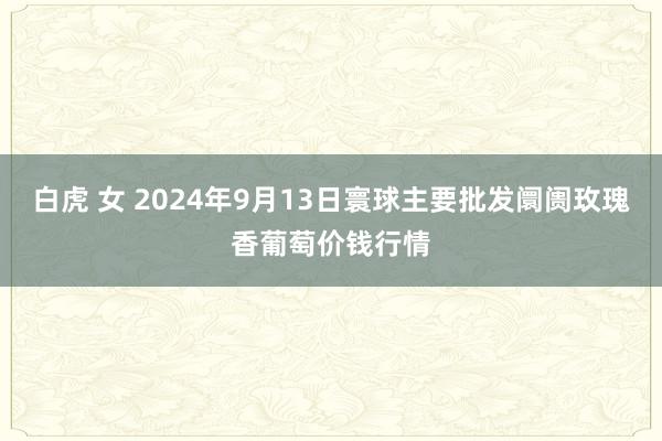 白虎 女 2024年9月13日寰球主要批发阛阓玫瑰香葡萄价钱行情