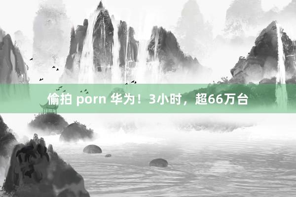 偷拍 porn 华为！3小时，超66万台