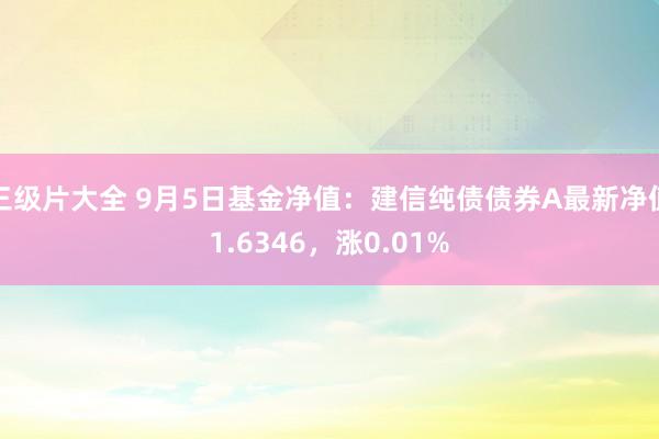 三级片大全 9月5日基金净值：建信纯债债券A最新净值1.6346，涨0.01%