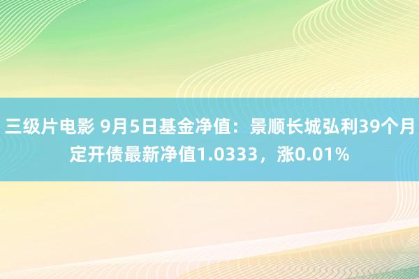 三级片电影 9月5日基金净值：景顺长城弘利39个月定开债最新净值1.0333，涨0.01%