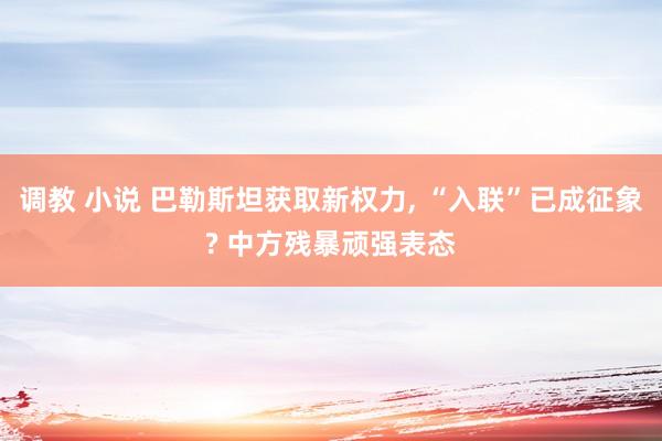 调教 小说 巴勒斯坦获取新权力， “入联”已成征象? 中方残暴顽强表态