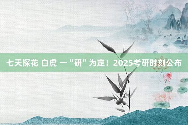 七天探花 白虎 一“研”为定！2025考研时刻公布