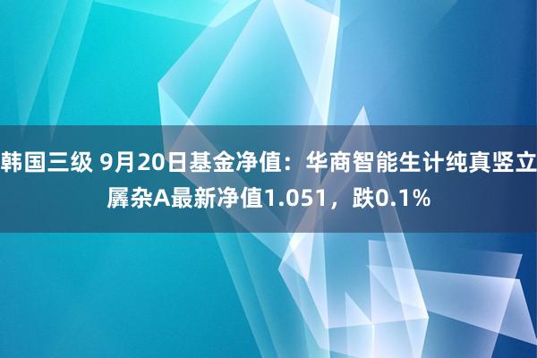 韩国三级 9月20日基金净值：华商智能生计纯真竖立羼杂A最新净值1.051，跌0.1%