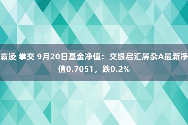 霸凌 拳交 9月20日基金净值：交银启汇羼杂A最新净值0.7051，跌0.2%