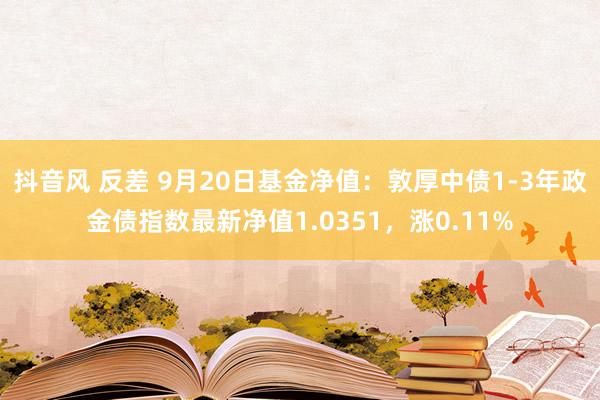 抖音风 反差 9月20日基金净值：敦厚中债1-3年政金债指数最新净值1.0351，涨0.11%