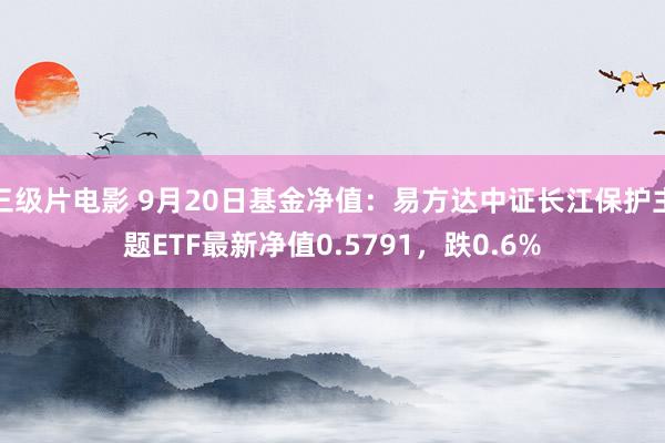 三级片电影 9月20日基金净值：易方达中证长江保护主题ETF最新净值0.5791，跌0.6%