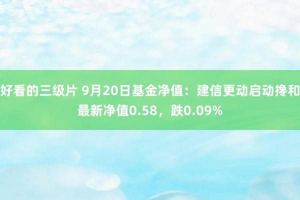 好看的三级片 9月20日基金净值：建信更动启动搀和最新净值0.58，跌0.09%