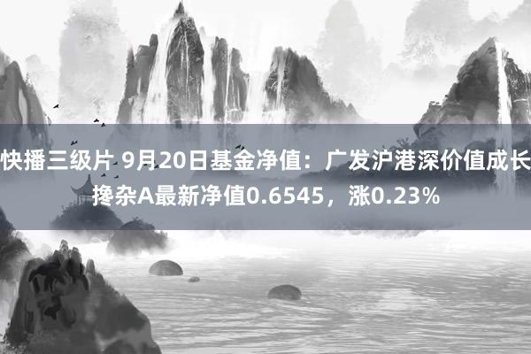 快播三级片 9月20日基金净值：广发沪港深价值成长搀杂A最新净值0.6545，涨0.23%