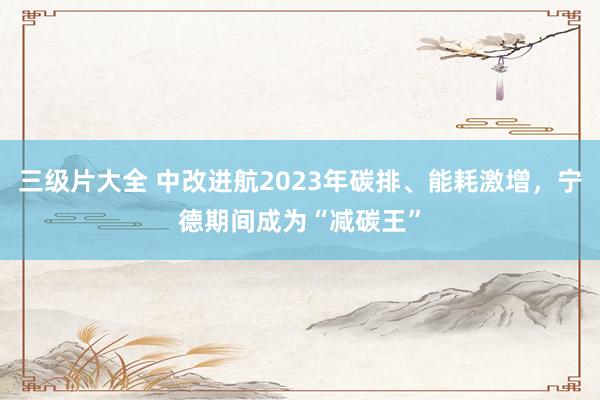 三级片大全 中改进航2023年碳排、能耗激增，宁德期间成为“减碳王”