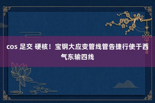 cos 足交 硬核！宝钢大应变管线管告捷行使于西气东输四线