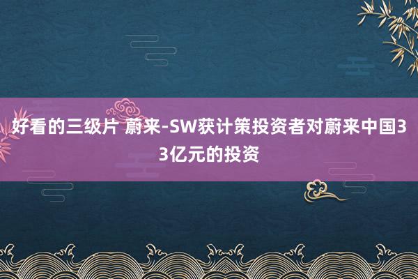 好看的三级片 蔚来-SW获计策投资者对蔚来中国33亿元的投资