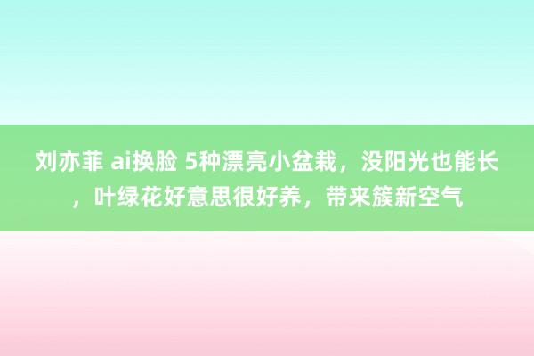 刘亦菲 ai换脸 5种漂亮小盆栽，没阳光也能长，叶绿花好意思很好养，带来簇新空气