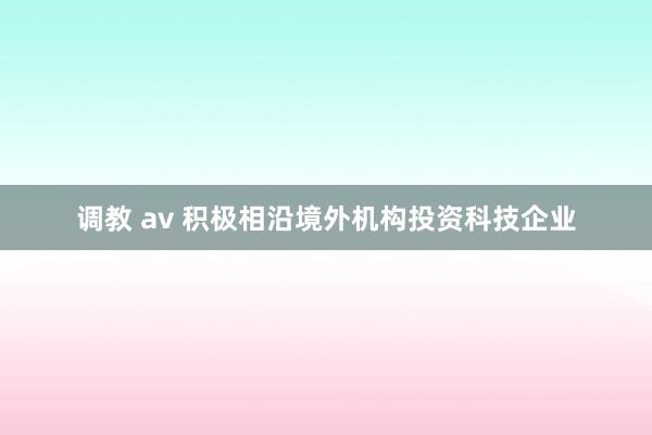 调教 av 积极相沿境外机构投资科技企业