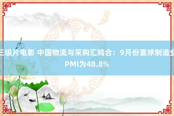 三级片电影 中国物流与采购汇鸠合：9月份寰球制造业PMI为48.8%