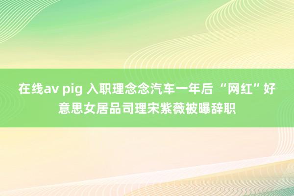 在线av pig 入职理念念汽车一年后 “网红”好意思女居品司理宋紫薇被曝辞职