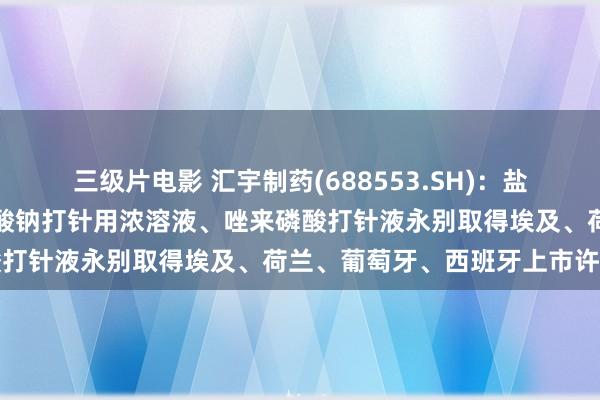 三级片电影 汇宇制药(688553.SH)：盐酸多柔比星打针液、丙戊酸钠打针用浓溶液、唑来磷酸打针液永别取得埃及、荷兰、葡萄牙、西班牙上市许可