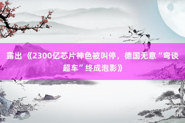 露出 《2300亿芯片神色被叫停，德国无意“弯谈超车”终成泡影》