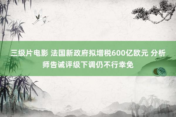 三级片电影 法国新政府拟增税600亿欧元 分析师告诫评级下调仍不行幸免