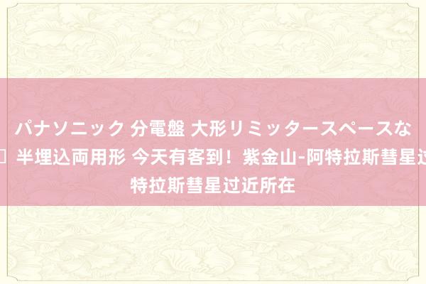 パナソニック 分電盤 大形リミッタースペースなし 露出・半埋込両用形 今天有客到！紫金山-阿特拉斯彗星过近所在