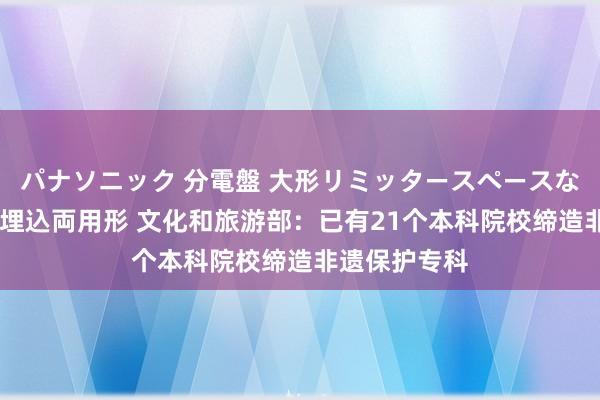 パナソニック 分電盤 大形リミッタースペースなし 露出・半埋込両用形 文化和旅游部：已有21个本科院校缔造非遗保护专科