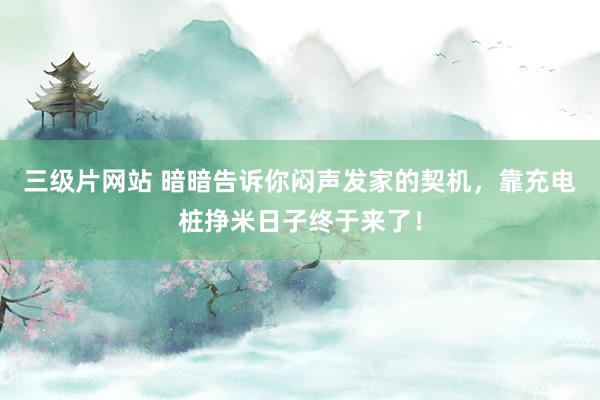 三级片网站 暗暗告诉你闷声发家的契机，靠充电桩挣米日子终于来了！