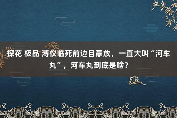 探花 极品 溥仪临死前边目豪放，一直大叫“河车丸”，河车丸到底是啥？