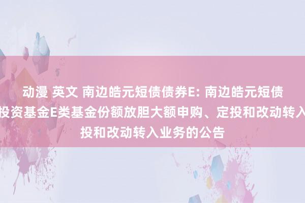 动漫 英文 南边皓元短债债券E: 南边皓元短债债券型证券投资基金E类基金份额放胆大额申购、定投和改动转入业务的公告