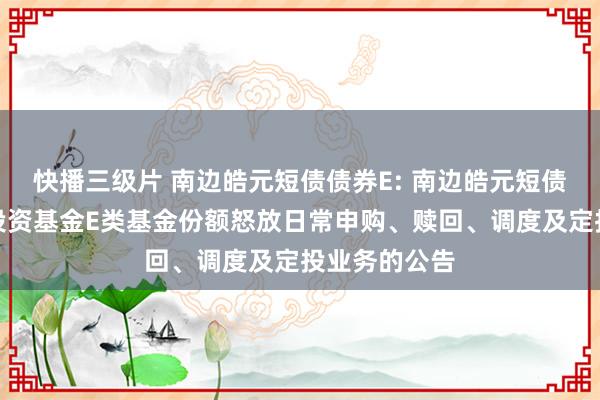 快播三级片 南边皓元短债债券E: 南边皓元短债债券型证券投资基金E类基金份额怒放日常申购、赎回、调度及定投业务的公告