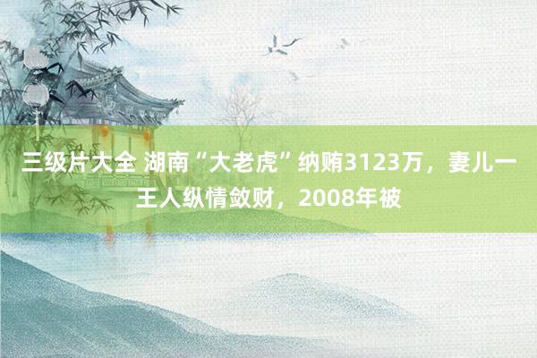 三级片大全 湖南“大老虎”纳贿3123万，妻儿一王人纵情敛财，2008年被