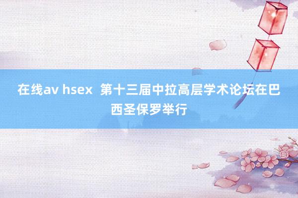 在线av hsex  第十三届中拉高层学术论坛在巴西圣保罗举行