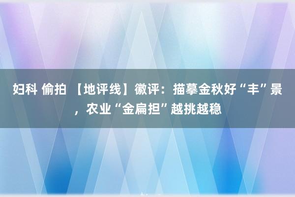 妇科 偷拍 【地评线】徽评：描摹金秋好“丰”景，农业“金扁担”越挑越稳