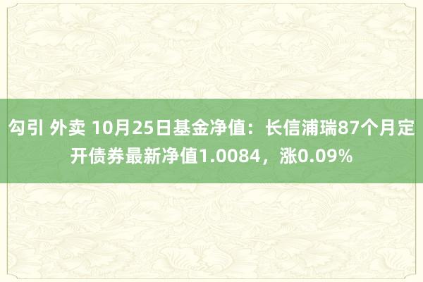 勾引 外卖 10月25日基金净值：长信浦瑞87个月定开债券最新净值1.0084，涨0.09%