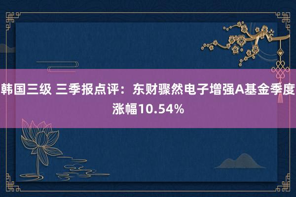 韩国三级 三季报点评：东财骤然电子增强A基金季度涨幅10.54%