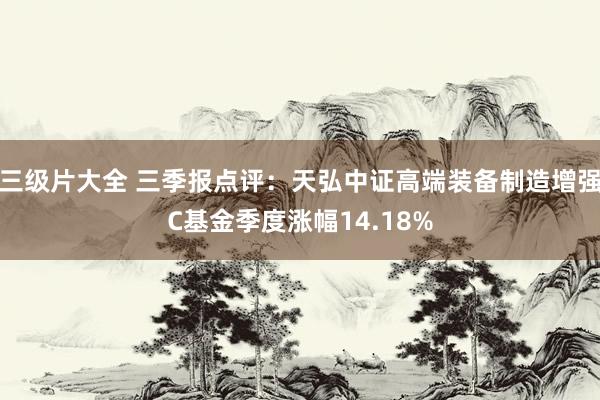 三级片大全 三季报点评：天弘中证高端装备制造增强C基金季度涨幅14.18%