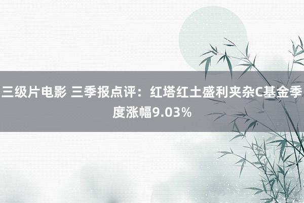 三级片电影 三季报点评：红塔红土盛利夹杂C基金季度涨幅9.03%