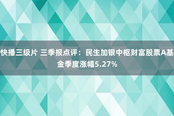 快播三级片 三季报点评：民生加银中枢财富股票A基金季度涨幅5.27%