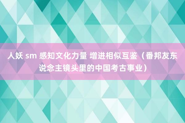 人妖 sm 感知文化力量 增进相似互鉴（番邦友东说念主镜头里的中国考古事业）