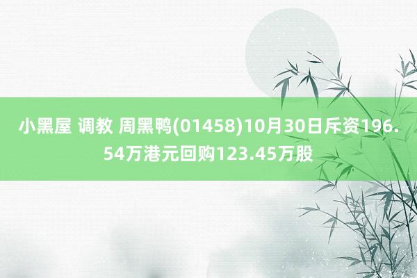 小黑屋 调教 周黑鸭(01458)10月30日斥资196.54万港元回购123.45万股