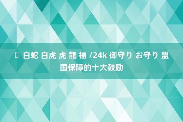 ✨白蛇 白虎 虎 龍 福 /24k 御守り お守り 盟国保障的十大鼓励