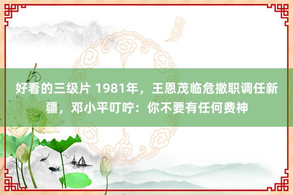 好看的三级片 1981年，王恩茂临危撤职调任新疆，邓小平叮咛：你不要有任何费神