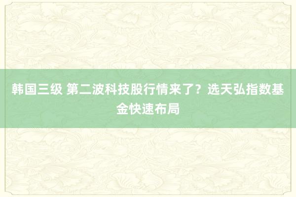 韩国三级 第二波科技股行情来了？选天弘指数基金快速布局