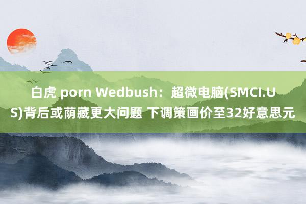 白虎 porn Wedbush：超微电脑(SMCI.US)背后或荫藏更大问题 下调策画价至32好意思元