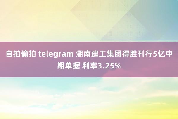 自拍偷拍 telegram 湖南建工集团得胜刊行5亿中期单据 利率3.25%